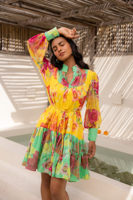 Wildflower Short Dress (Multicolour)