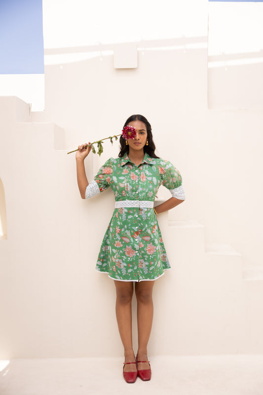 Green Garden Mini Dress