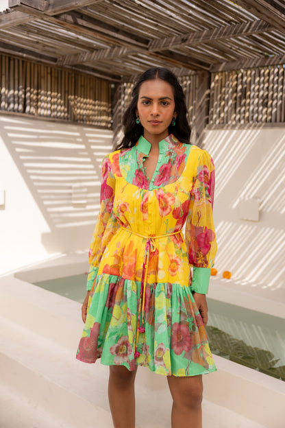 Wildflower Short Dress (Multicolour)