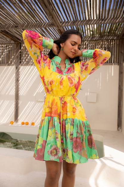 Wildflower Short Dress (Multicolour)
