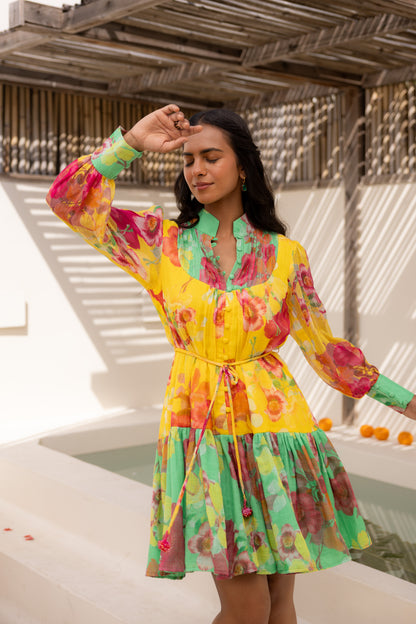 Wildflower Short Dress (Multicolour)